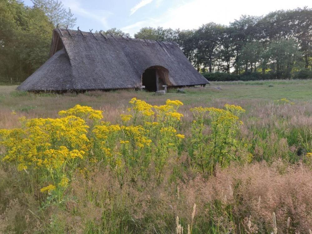 Vakantie Op De Veluwe Villa Lunteren Eksteriør billede