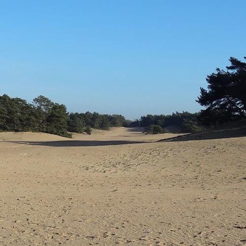 Vakantie Op De Veluwe Villa Lunteren Eksteriør billede