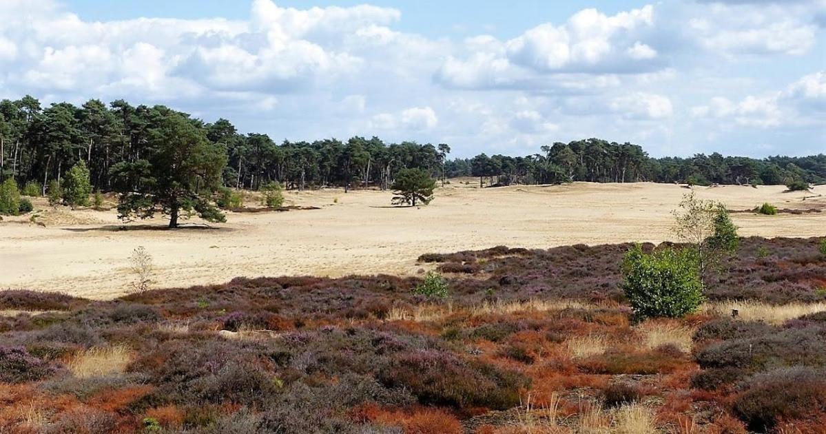 Vakantie Op De Veluwe Villa Lunteren Eksteriør billede